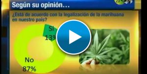 La legalización de la marihuana, ¿qué opinan los laguneros?